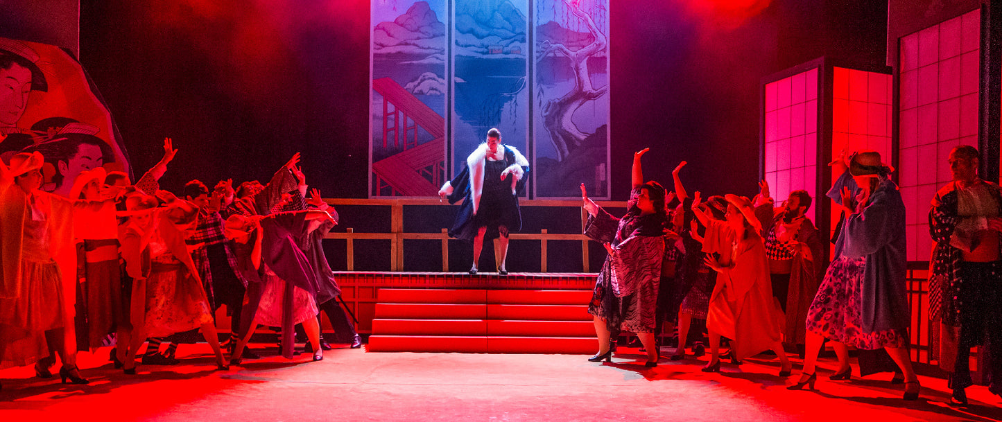 The Mikado, National G&S Opera Company - 2019 DVD