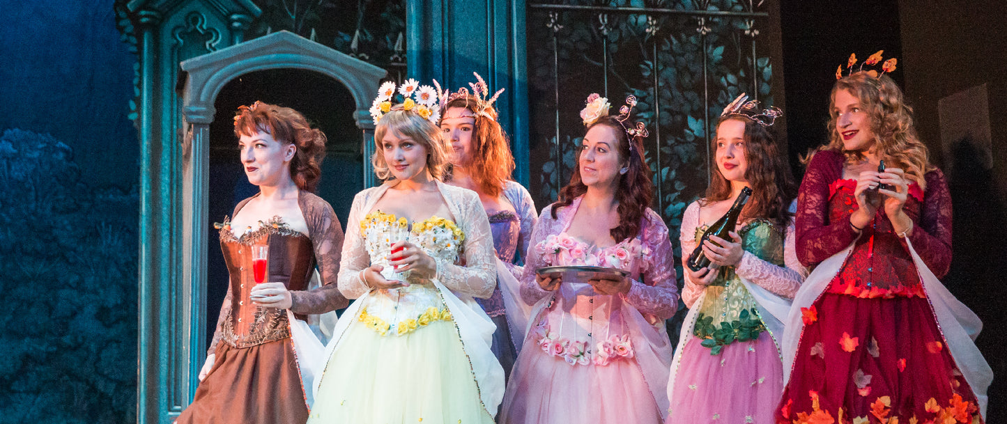 Iolanthe, Forbear! Theatre - 2018 DVD