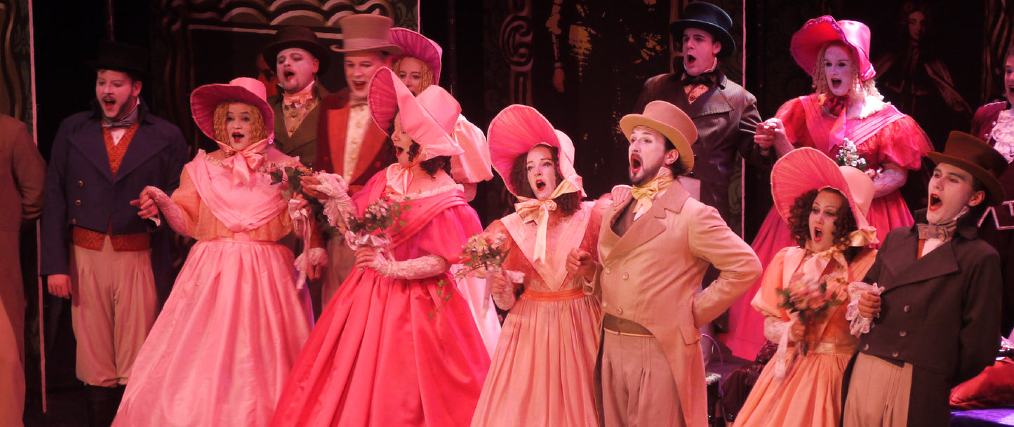 Ruddigore, National G&S Opera Company - 2011 DVD