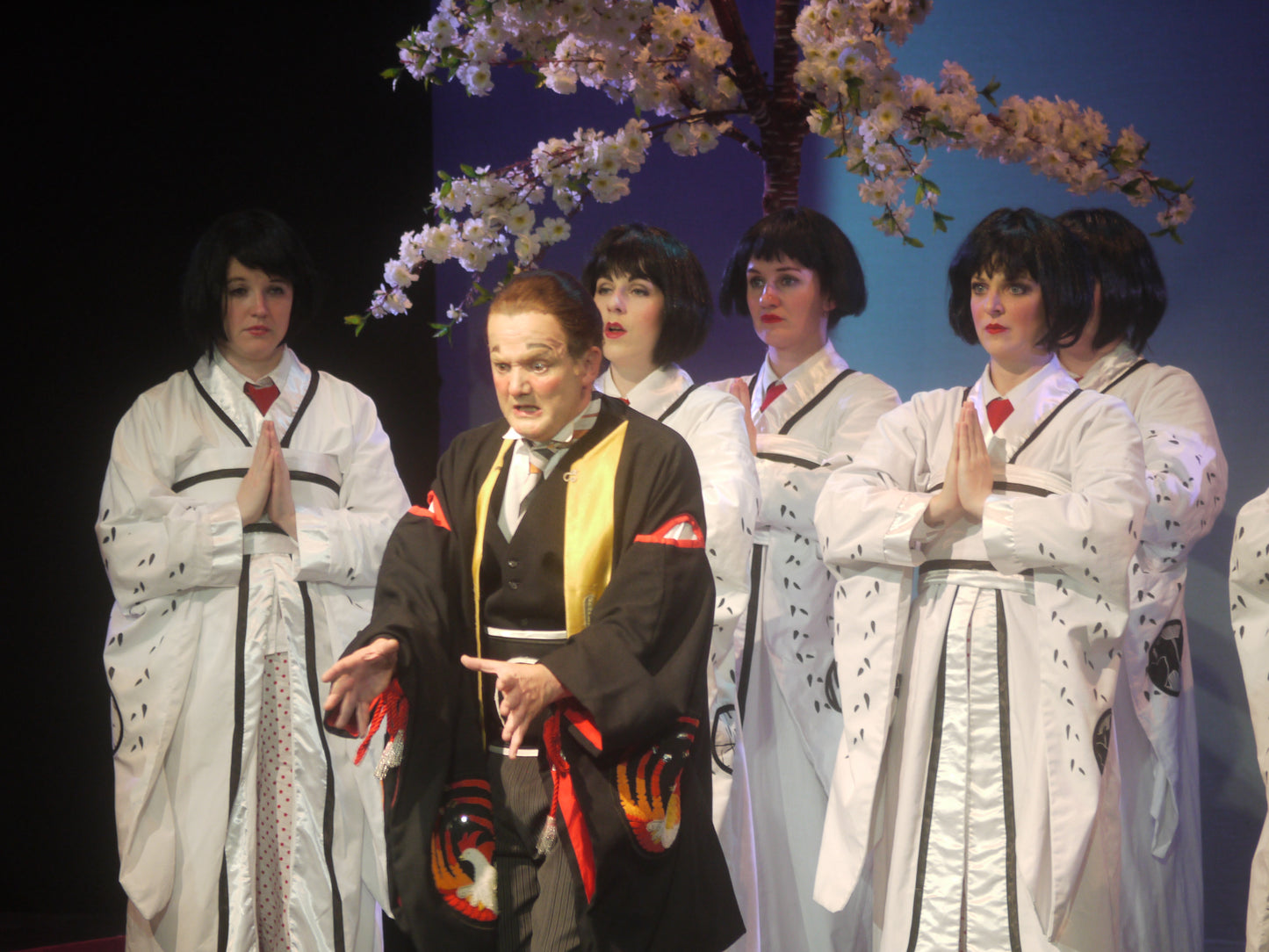 The Mikado, National G&S Opera Company - 2015 DVD